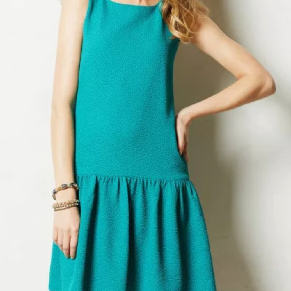 Anthropologie Dress Large